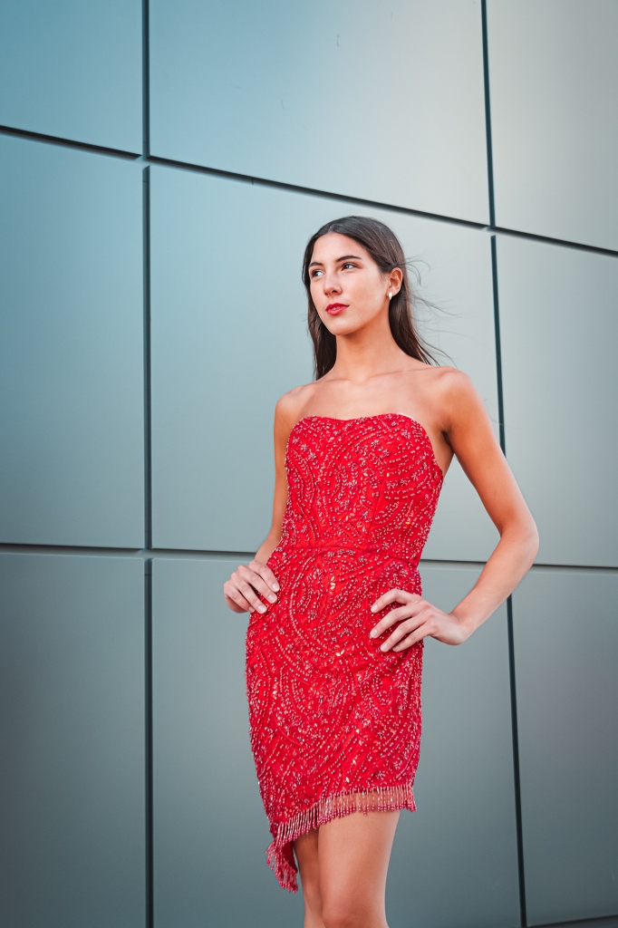 Vestido RED bordado - Imagen 2